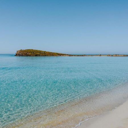 Narcissos Nissi Beach Apartment C16 Ajía Nápa Eksteriør bilde