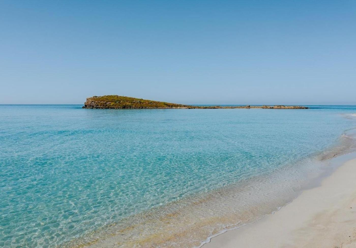 Narcissos Nissi Beach Apartment C16 Ajía Nápa Eksteriør bilde